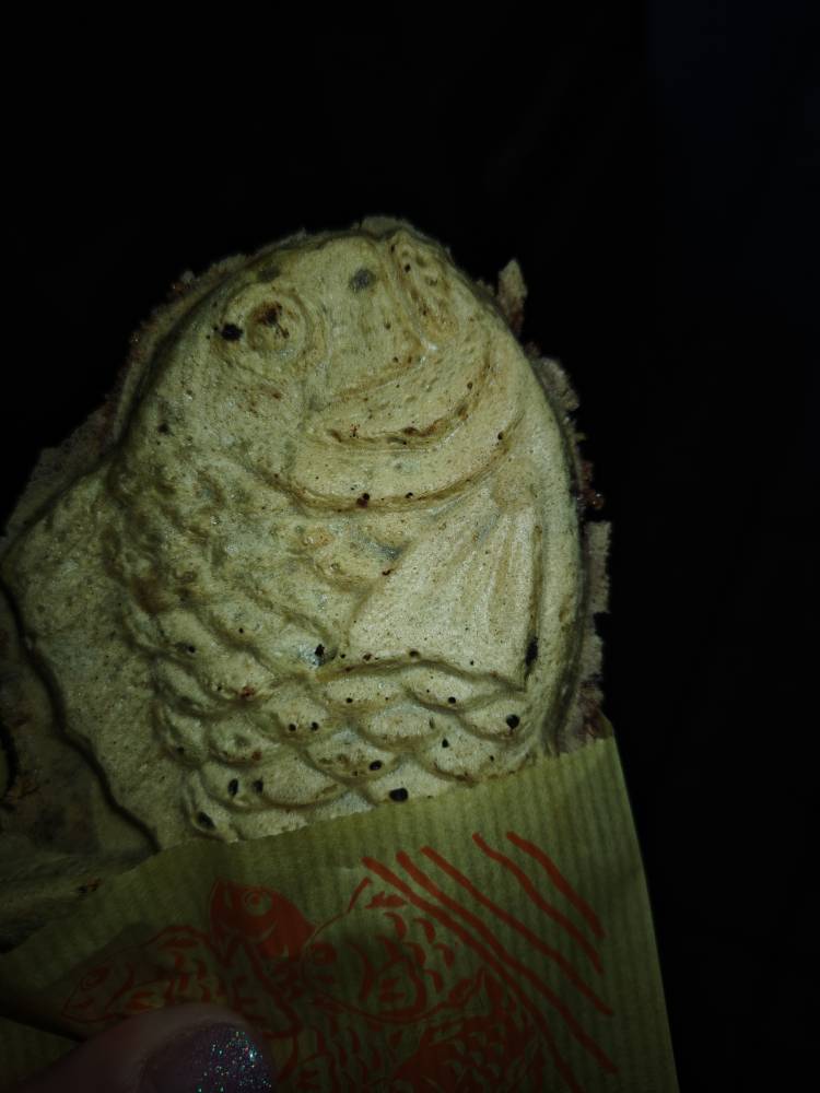 おはようございます☀