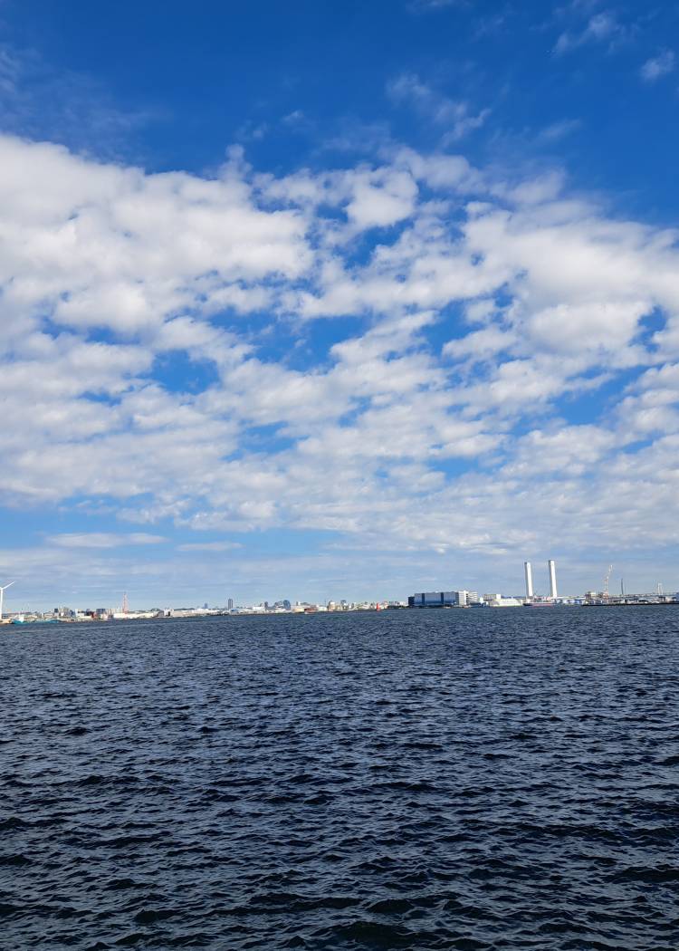 田中(たなか)（あげは）