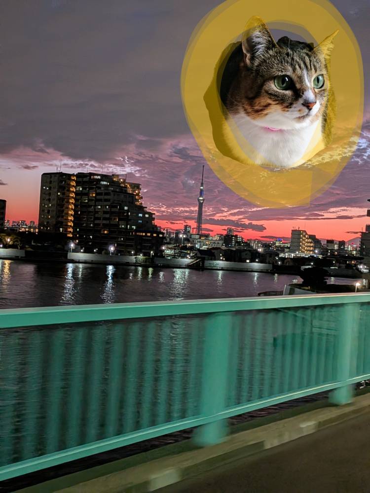 帰りのバスの車窓から