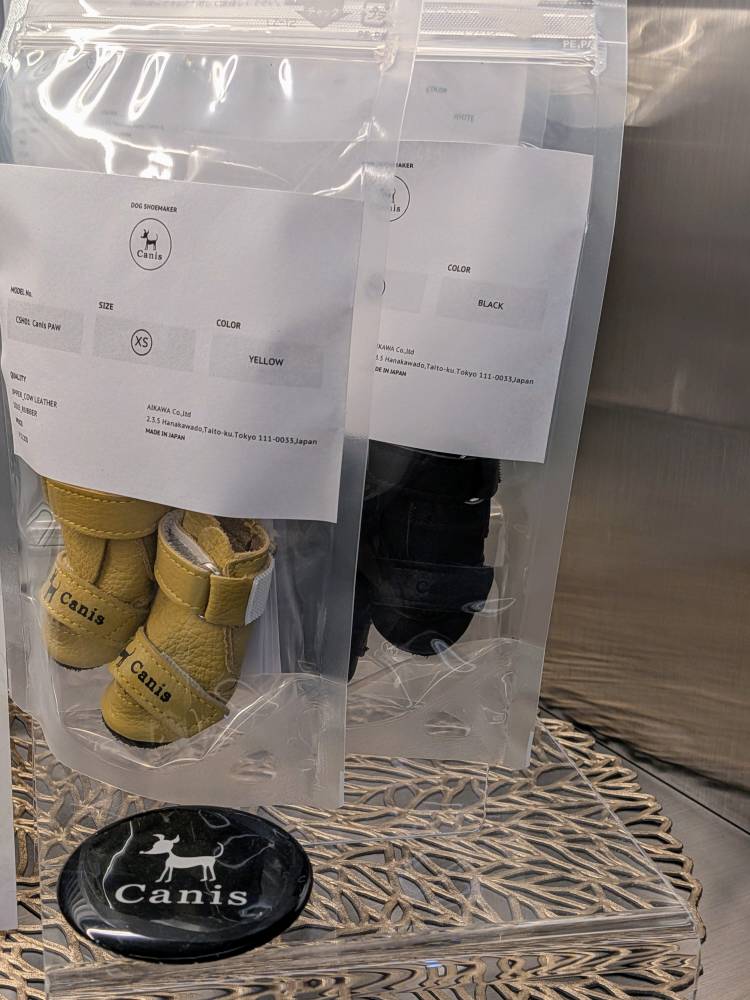 おはようございます