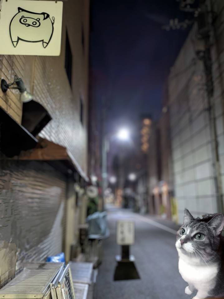 おはようございます