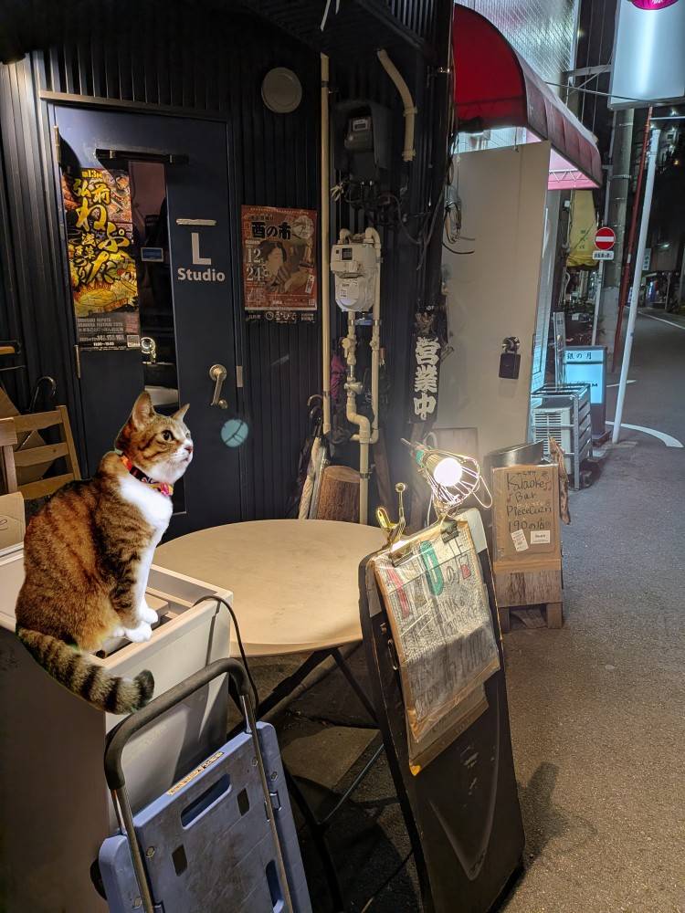 おはようございます