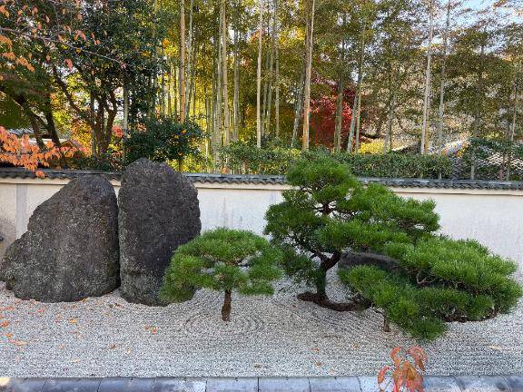 美咲(みさき)(あげは)