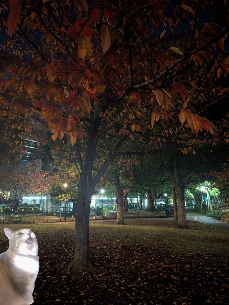 おはようございます