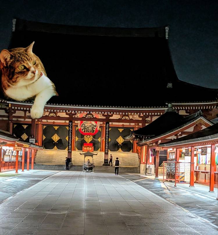 おはようございます