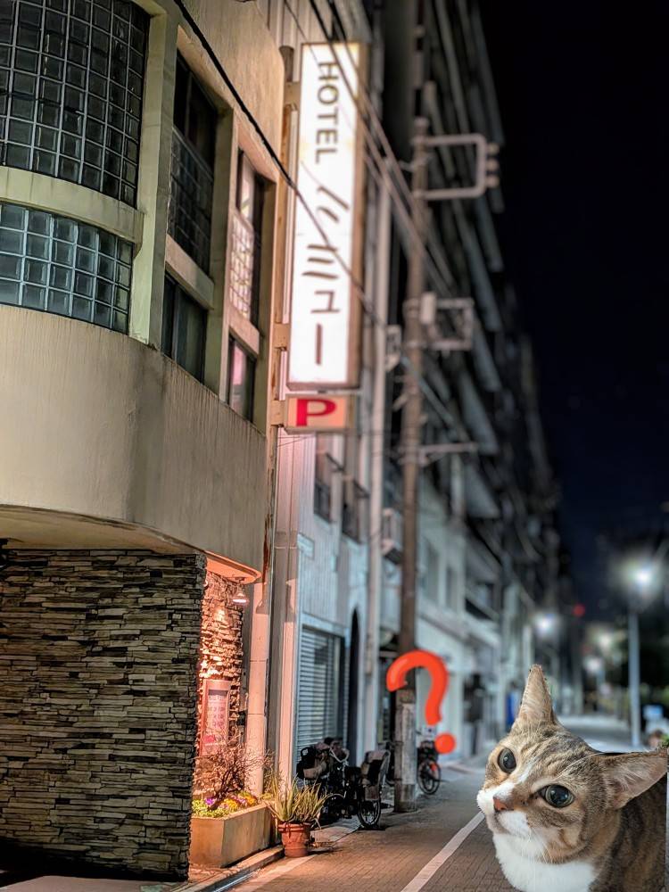 おはようございます