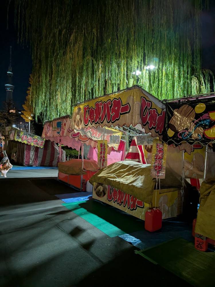 おはようございます