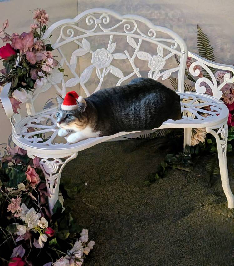 おはようございます