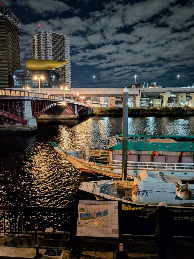 おはようございます