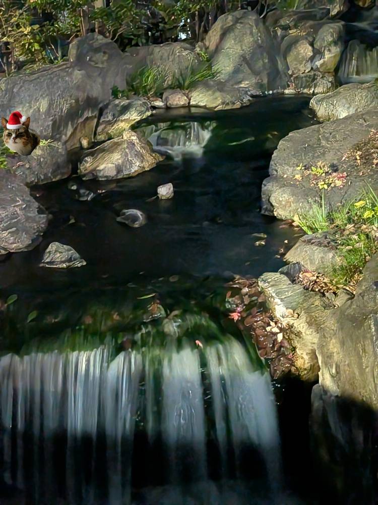 おはようございます