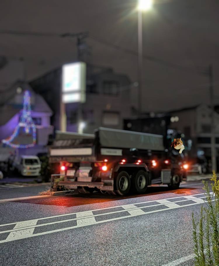 おはようございます