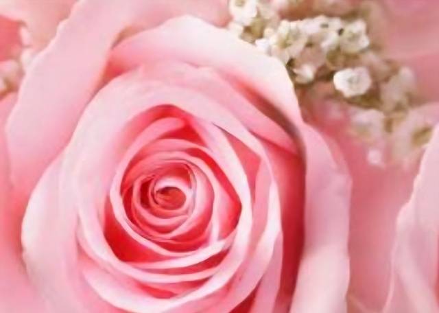 ありがとうございます𓂃𓂂ꕤ*.ﾟ