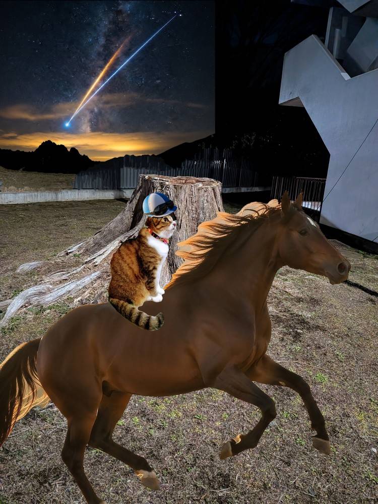 エアポート🏨モンゴルを模