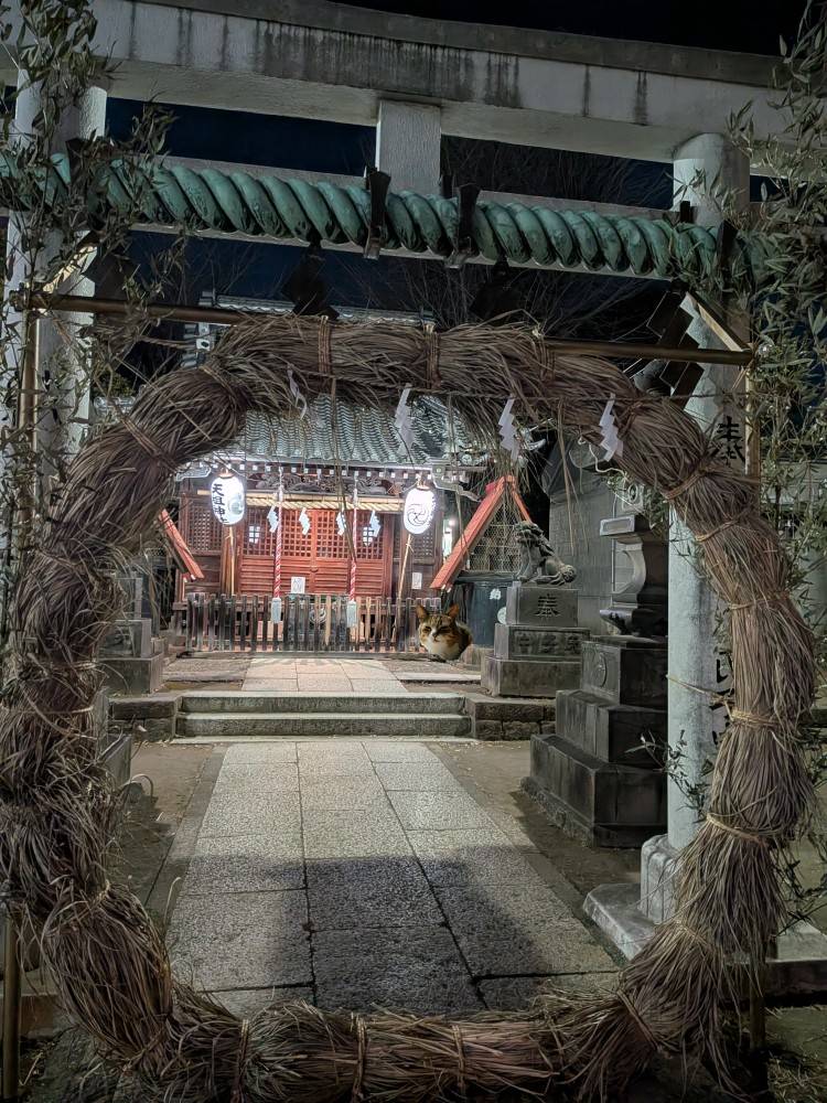 おはようございます