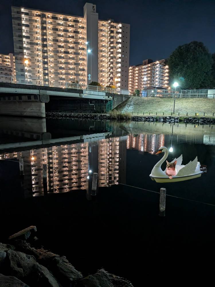 おはようございます