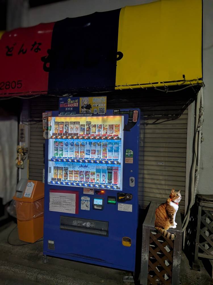 おはようございます