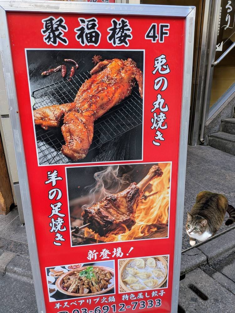 上杉(うえすぎ)（あげは）