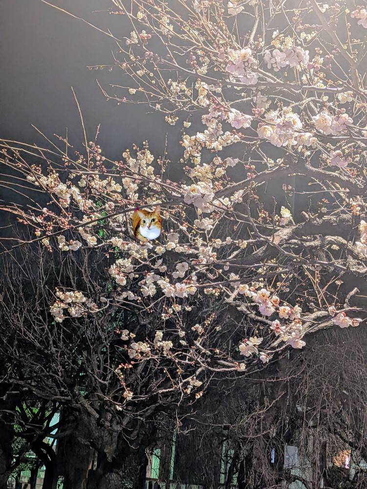 おはようございます