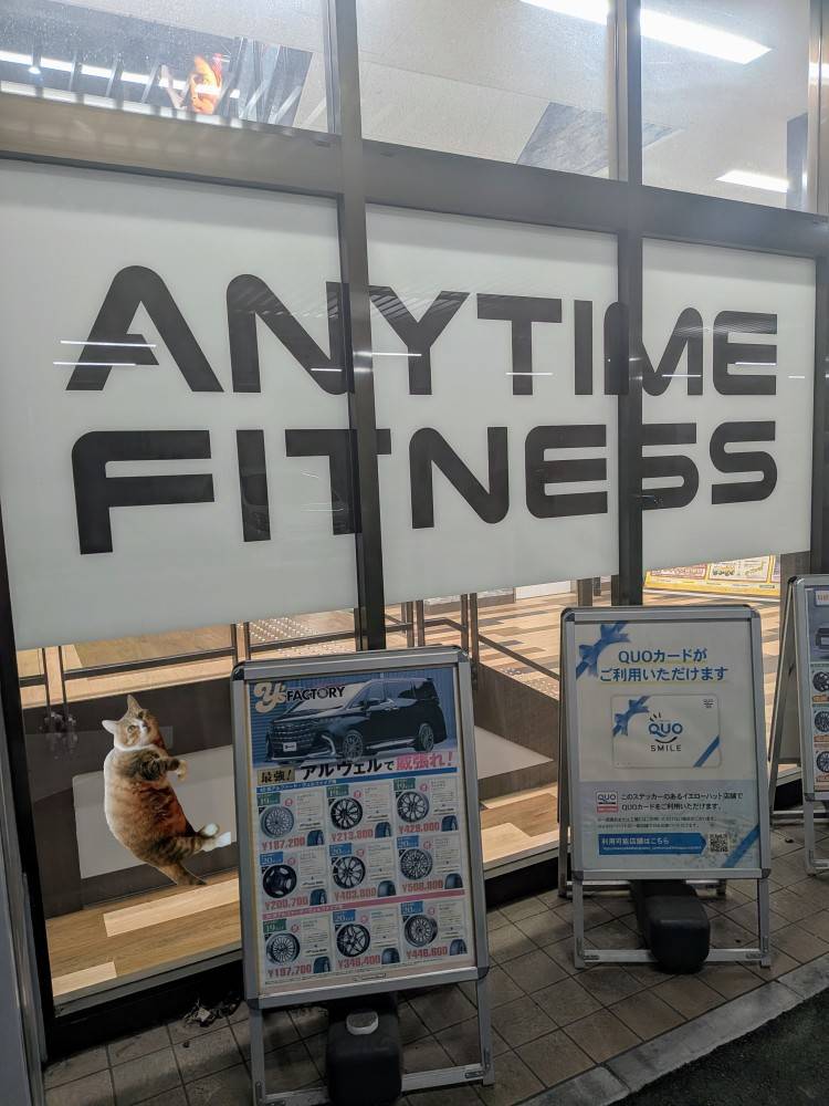 上杉(うえすぎ)（あげは）