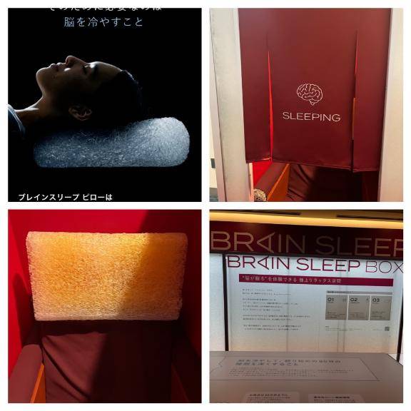 南條(なんじょう)（あげは）