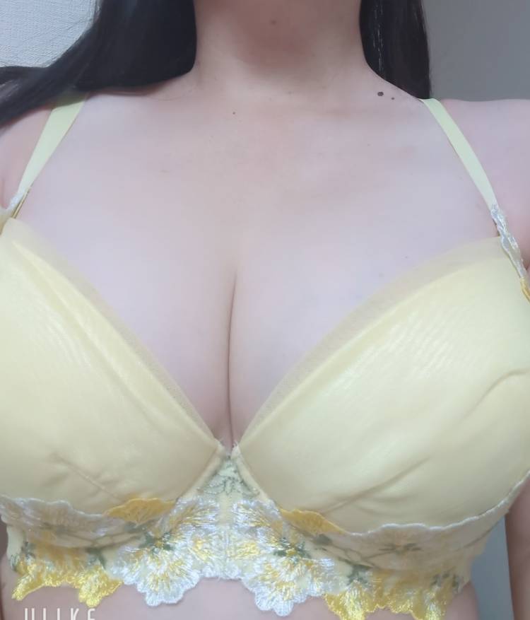 葉山(はやま)（あげは）