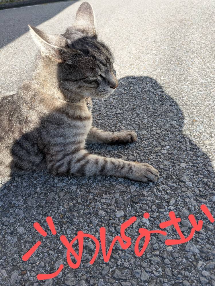 ごめんなさい😢