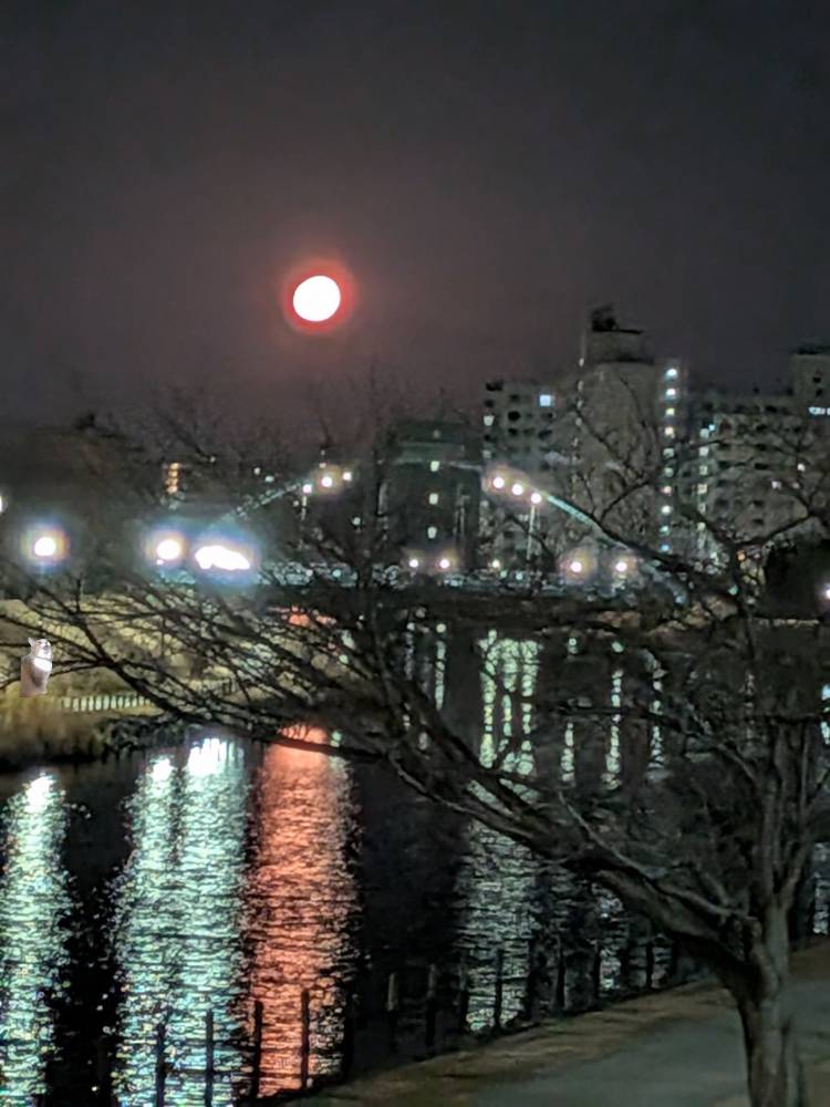 おはようございます