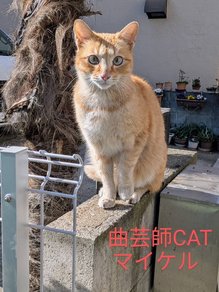 おはようございます