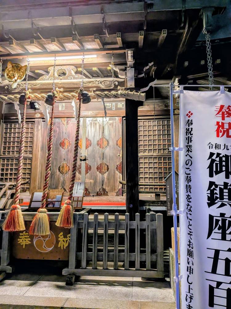 おはようございます