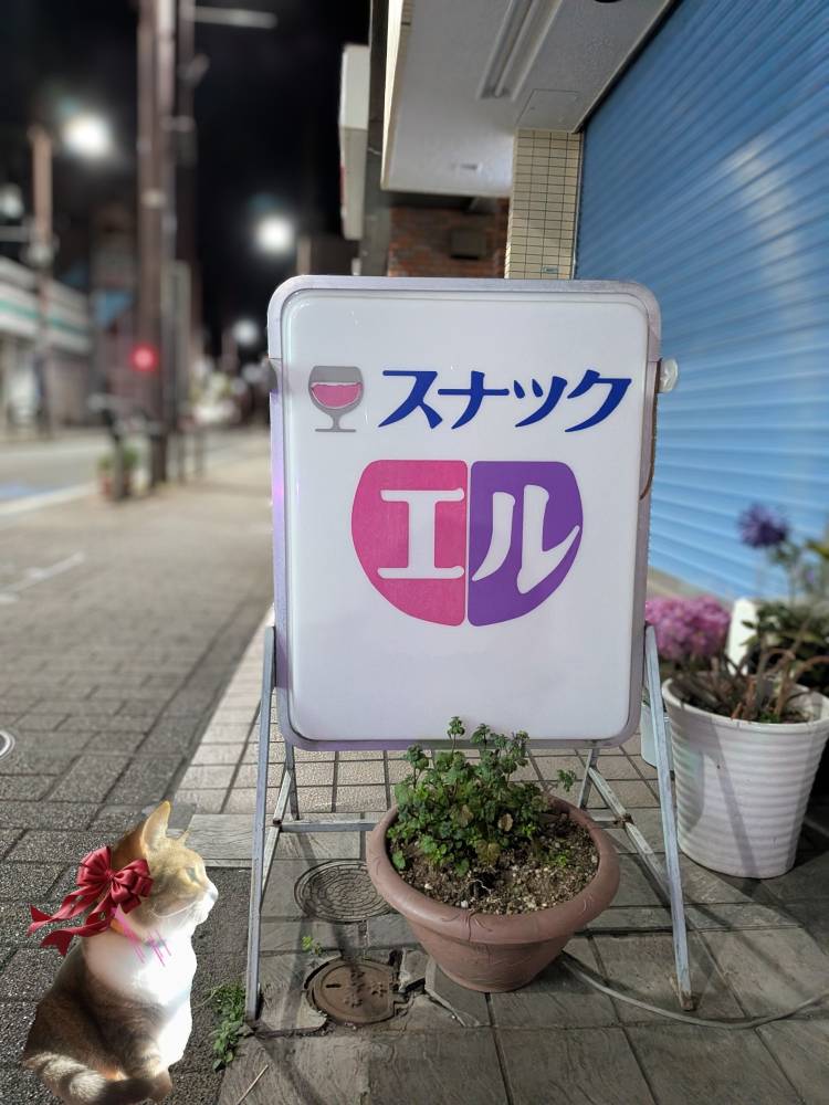 おはようございます