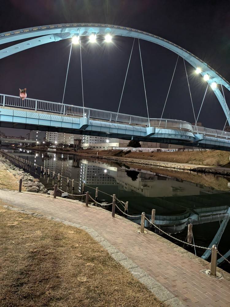 おはようございます