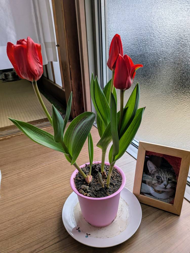 おはようございます❄️