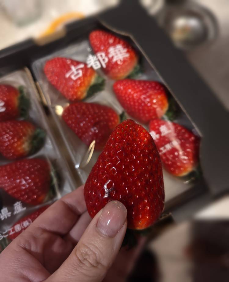 松川(まつかわ)（あげは）