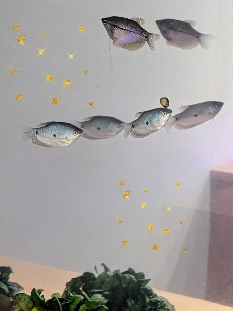 おはようございます