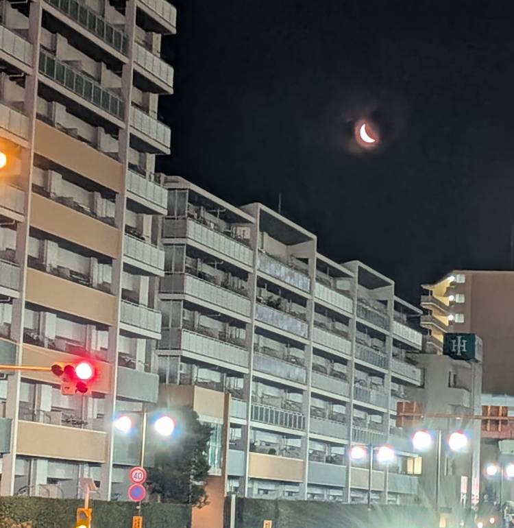 上杉(うえすぎ)（あげは）