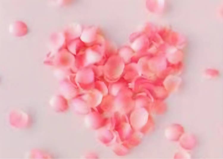 田中(たなか)（あげは）