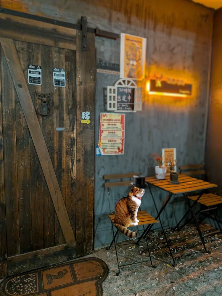 おはようございます