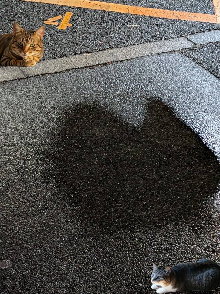 おはようございます