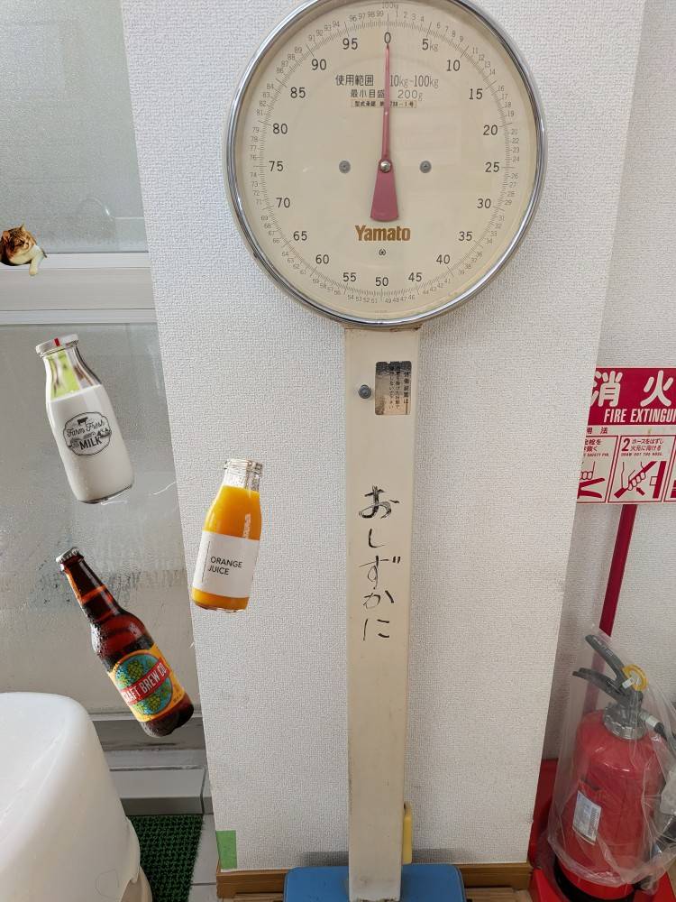 上杉(うえすぎ)(あげは)