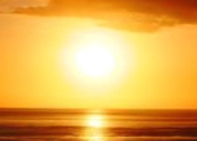 一粒万倍日.*･ﾟ.*･ﾟ