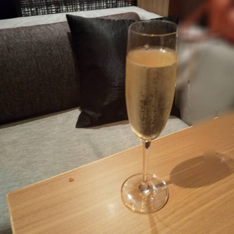 葉山(はやま)(あげは)