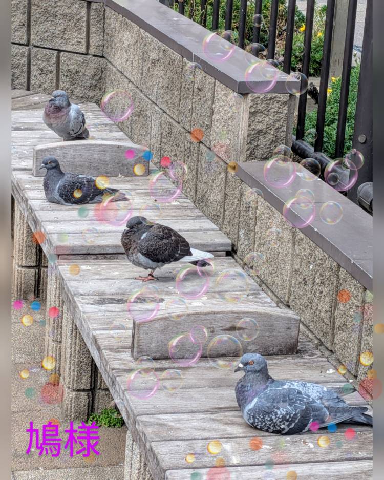 おはようございます