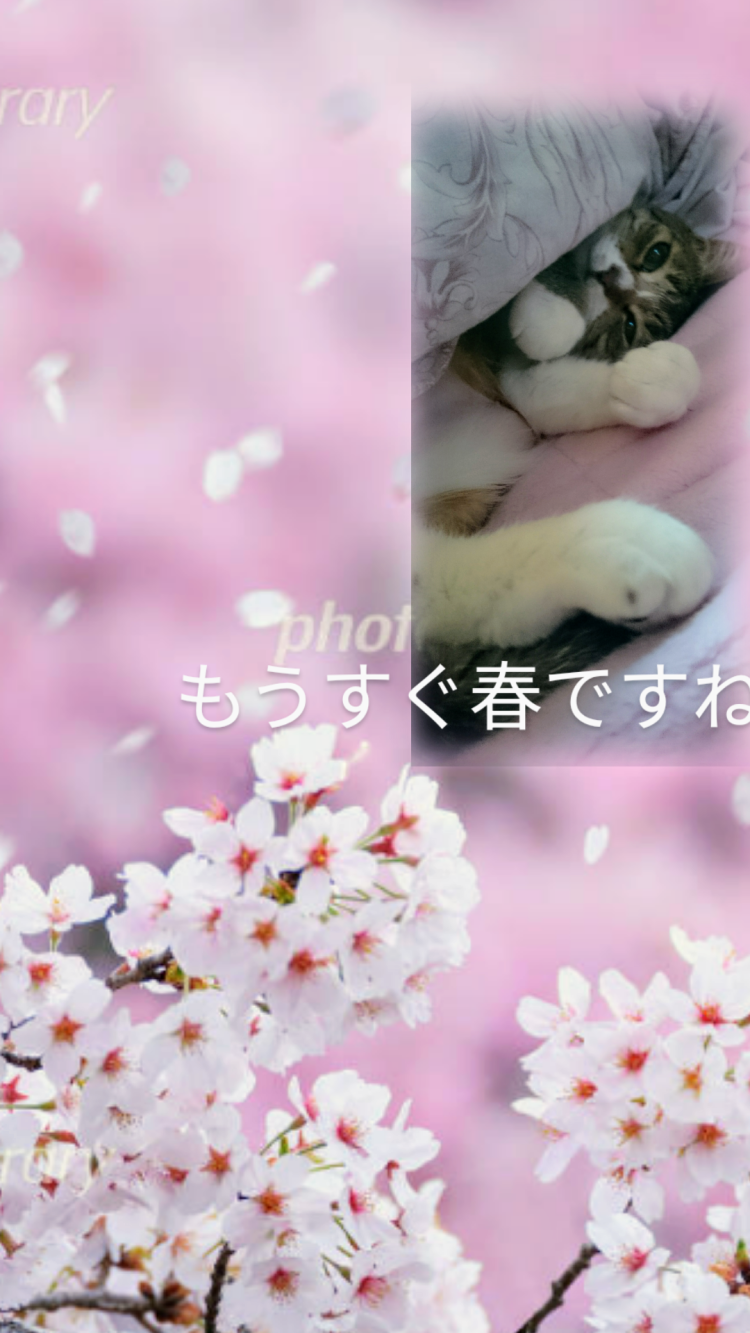 おはようございます