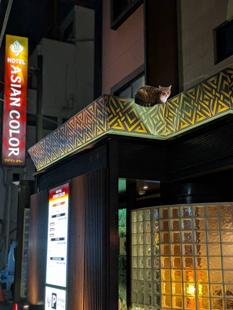 おはようございます