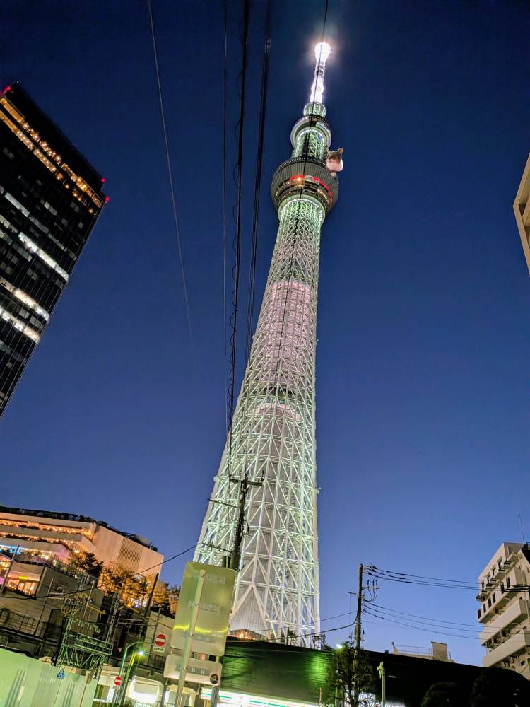 おはようございます