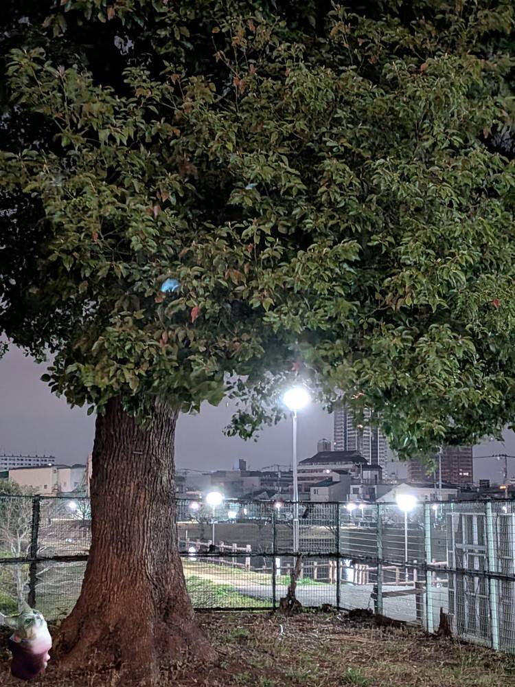 おはようございます