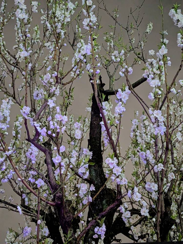 おはようございます