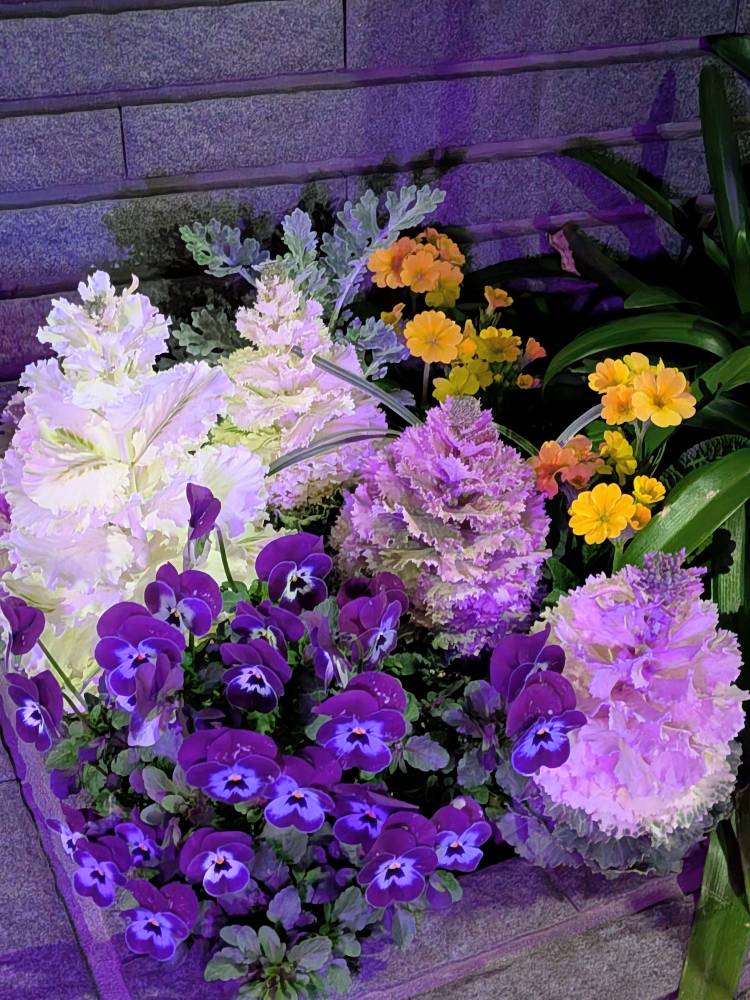 おはようございます