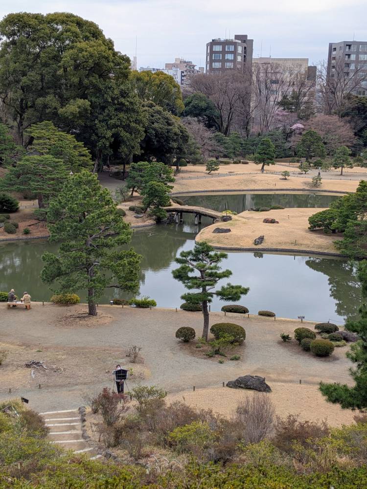 おはようございます