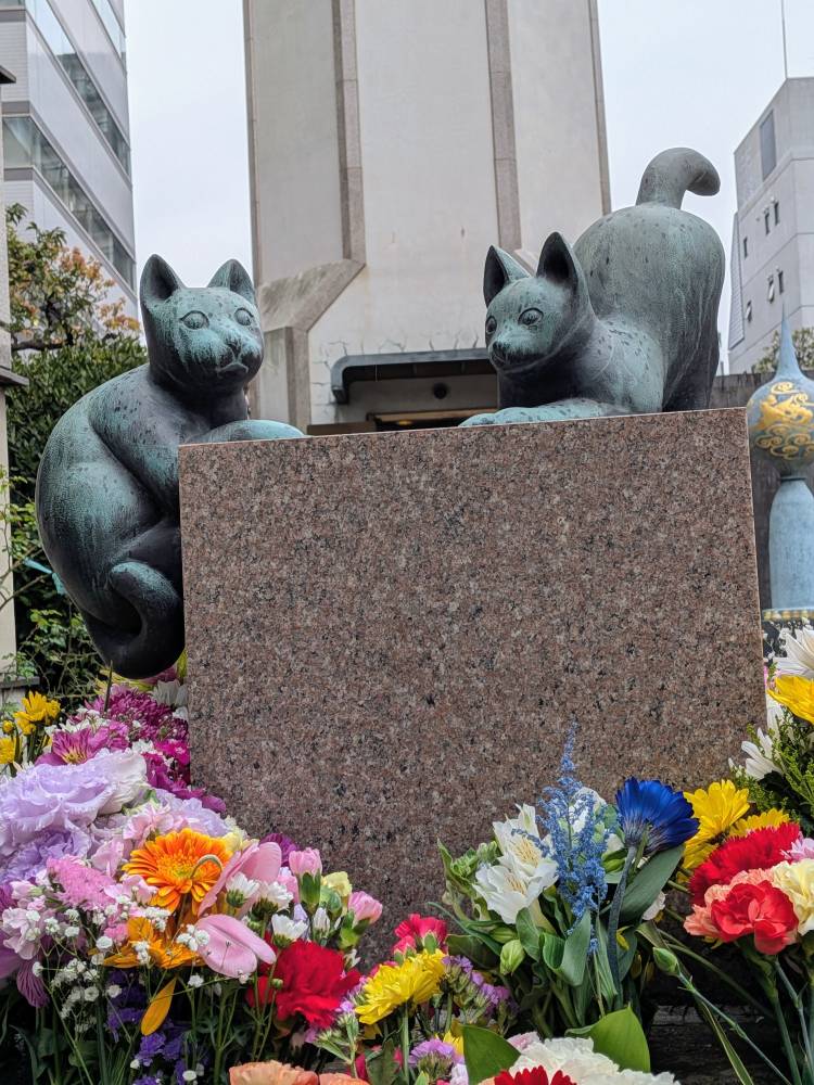 おはようございます